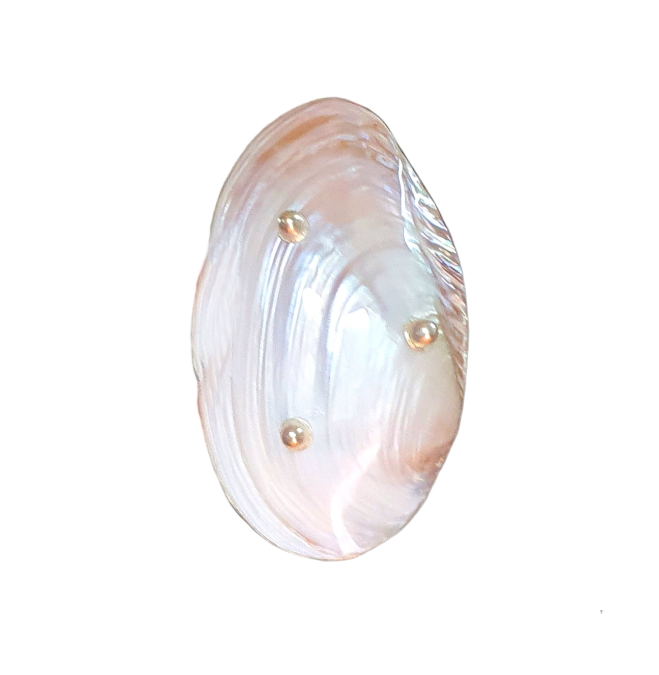 TT01-Natural Pearl Trinket Dish W/ Silver Metal Details