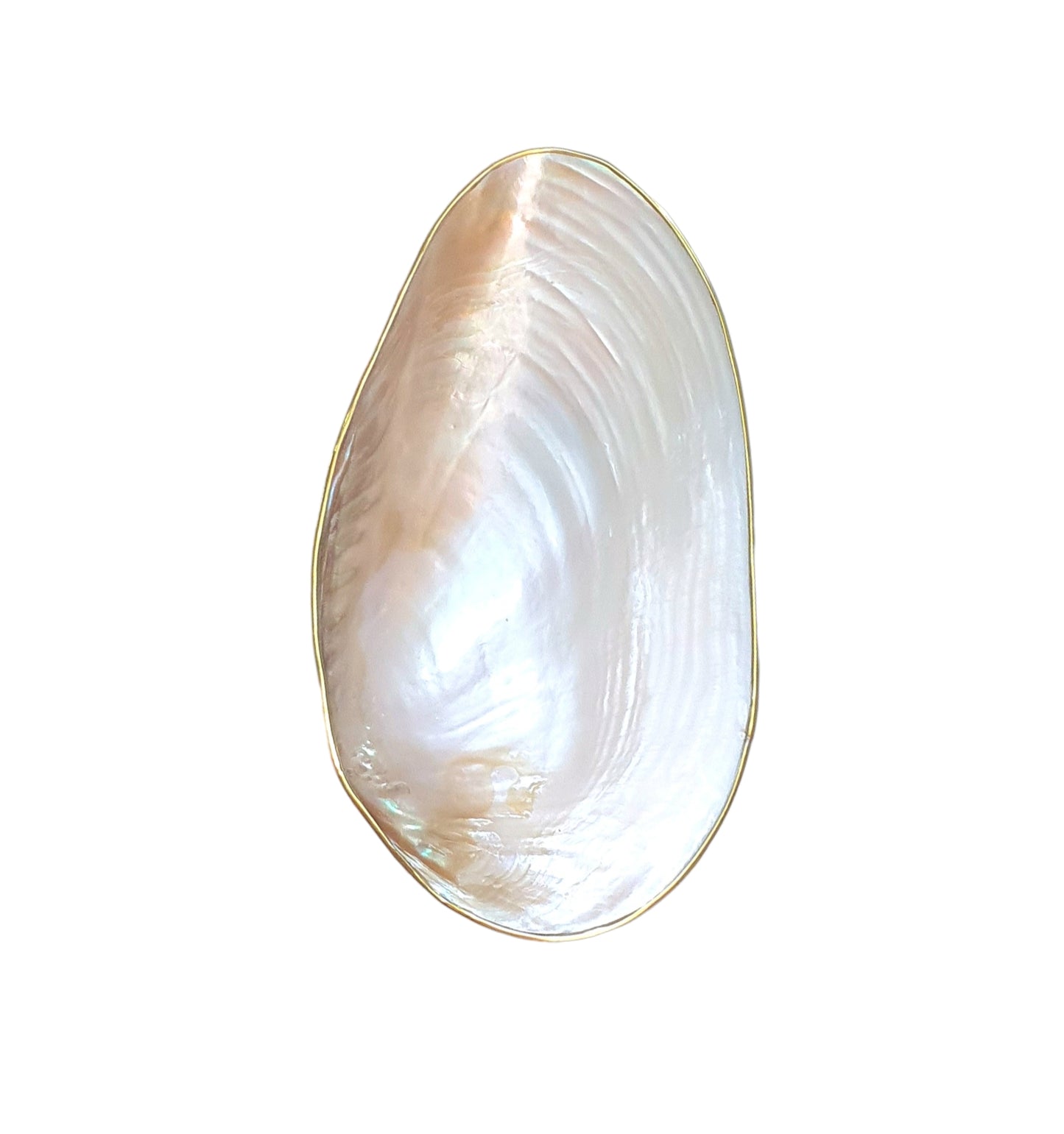 TT01-Natural Pearl Trinket Dish W/ Silver Metal Details