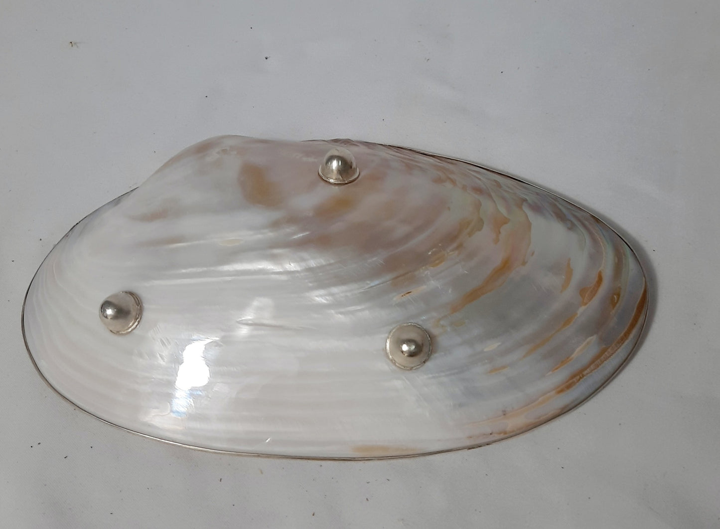 TT01-Natural Pearl Trinket Dish W/ Silver Metal Details